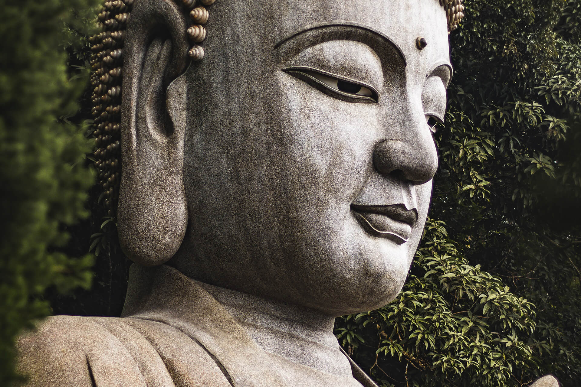 The Buddha